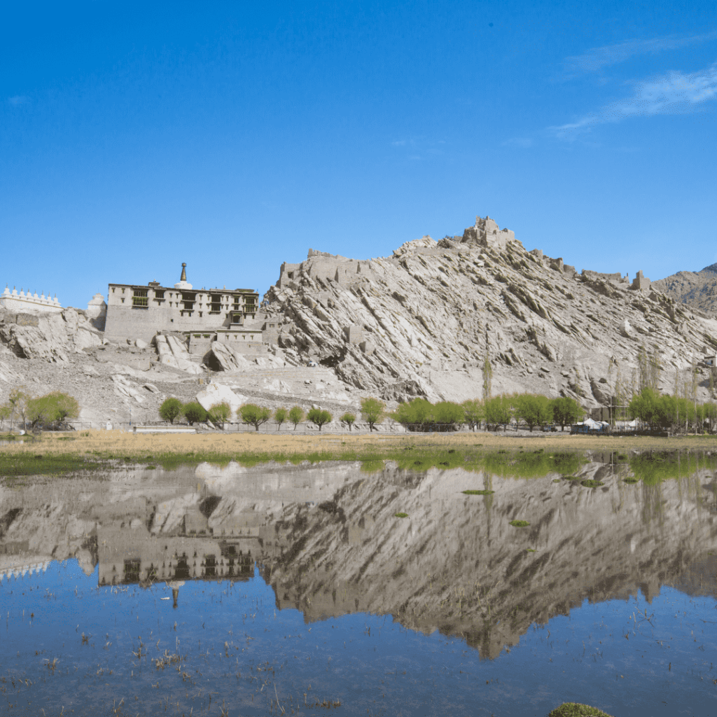 Untitled-design-17 (1)